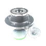 Wheel Bearing and Hub Assembly (Rear)